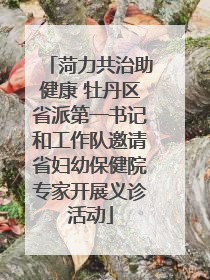 菏力共治助健康 牡丹区省派第一书记和工作队邀请省妇幼保健院专家开展义诊活动