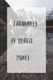 荷塘映日开 赏荷正当时