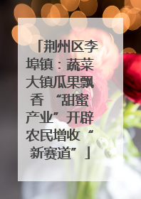 荆州区李埠镇：蔬菜大镇瓜果飘香 “甜蜜产业”开辟农民增收“新赛道”
