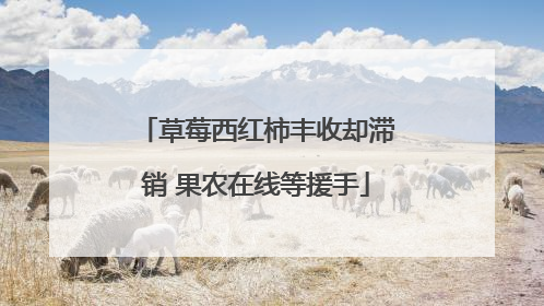 草莓西红柿丰收却滞销 果农在线等援手