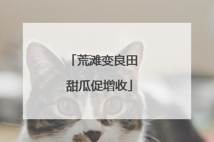 荒滩变良田 甜瓜促增收