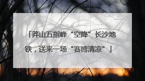 莽山五指峰“空降”长沙地铁，送来一场“赛博清凉”