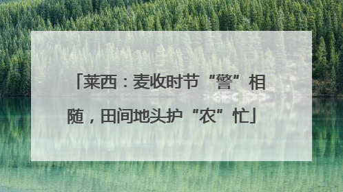 莱西：麦收时节“警”相随，田间地头护“农”忙