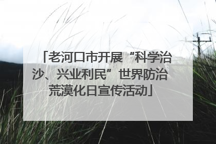老河口市开展“科学治沙、兴业利民”世界防治荒漠化日宣传活动