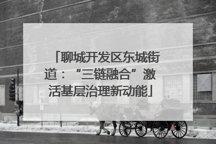聊城开发区东城街道：“三链融合”激活基层治理新动能
