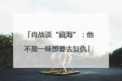 肖战谈“藏海”：他不是一味想要去复仇