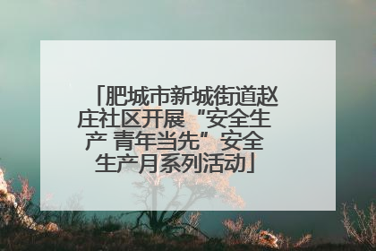 肥城市新城街道赵庄社区开展“安全生产 青年当先”安全生产月系列活动