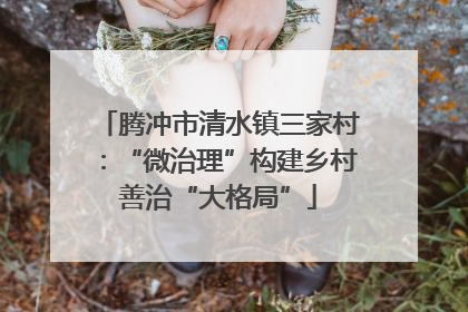 腾冲市清水镇三家村：“微治理”构建乡村善治“大格局”