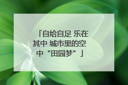 自给自足 乐在其中 城市里的空中“田园梦”