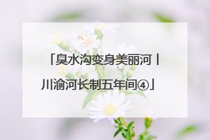 臭水沟变身美丽河丨川渝河长制五年间④