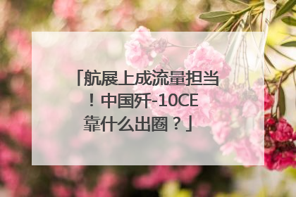 航展上成流量担当！中国歼-10CE靠什么出圈？
