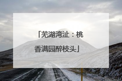 芜湖湾沚：桃香满园醉枝头