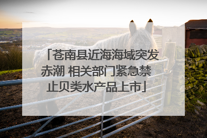苍南县近海海域突发赤潮 相关部门紧急禁止贝类水产品上市