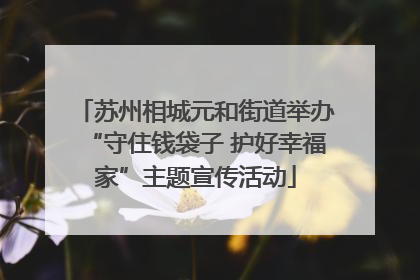 苏州相城元和街道举办“守住钱袋子 护好幸福家”主题宣传活动