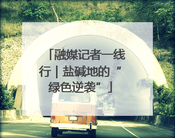 融媒记者一线行｜盐碱地的“绿色逆袭”