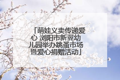 萌娃义卖传递爱心 浏阳市新翼幼儿园举办跳蚤市场暨爱心捐赠活动