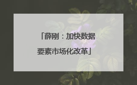 薛刚：加快数据要素市场化改革