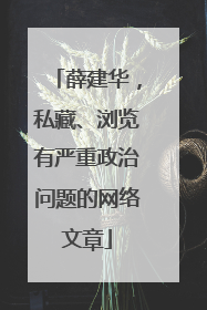 薛建华，私藏、浏览有严重政治问题的网络文章