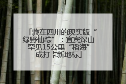 藏在四川的现实版“绿野仙踪”：宜宾深山罕见15公里“稻海”成打卡新地标