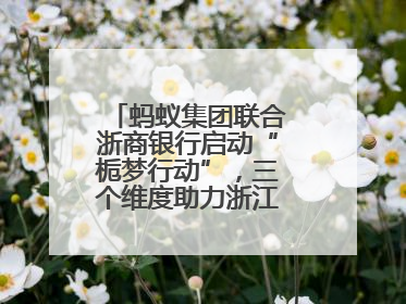 蚂蚁集团联合浙商银行启动“栀梦行动”，三个维度助力浙江下姜村建设共富示范区示范点