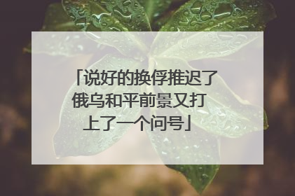 说好的换俘推迟了 俄乌和平前景又打上了一个问号