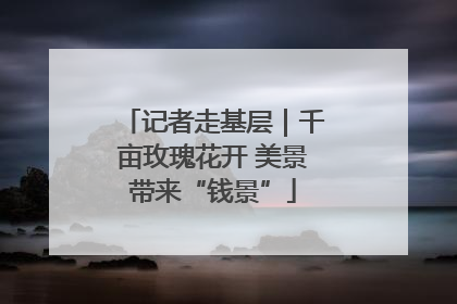 记者走基层｜千亩玫瑰花开 美景带来“钱景”