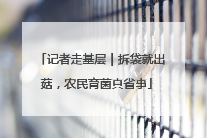 记者走基层｜拆袋就出菇，农民育菌真省事