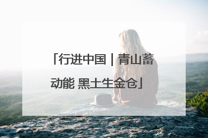 行进中国｜青山蓄动能 黑土生金仓