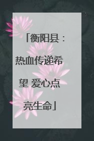 衡阳县：热血传递希望 爱心点亮生命