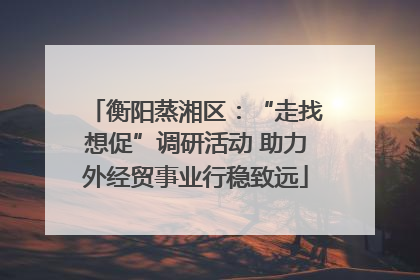 衡阳蒸湘区：“走找想促”调研活动 助力外经贸事业行稳致远