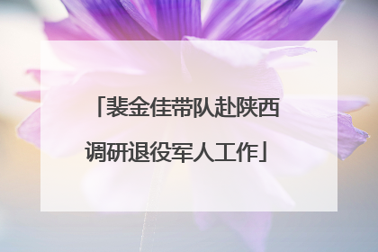 裴金佳带队赴陕西调研退役军人工作