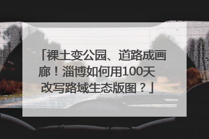 裸土变公园、道路成画廊！淄博如何用100天改写路域生态版图？
