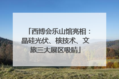 西博会乐山馆亮相：晶硅光伏、核技术、文旅三大展区吸睛