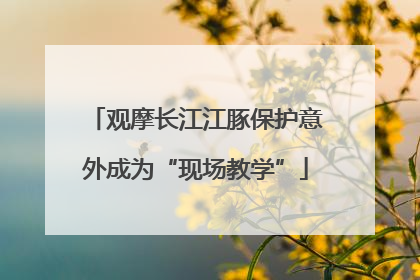 观摩长江江豚保护意外成为“现场教学”