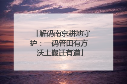 解码南京耕地守护：一码管田有方 沃土搬迁有道