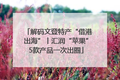 解码文登特产“借港出海”丨汇润“苹果”5款产品一次出圈