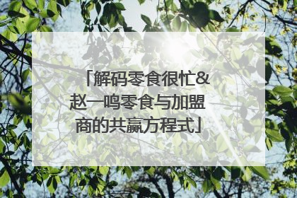 解码零食很忙&赵一鸣零食与加盟商的共赢方程式
