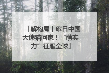 解构局丨旅日中国大熊猫回家！“萌实力”征服全球