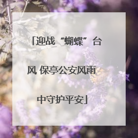 迎战“蝴蝶”台风 保亭公安风雨中守护平安