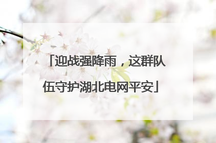 迎战强降雨，这群队伍守护湖北电网平安