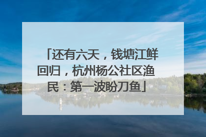 还有六天，钱塘江鲜回归，杭州杨公社区渔民：第一波盼刀鱼