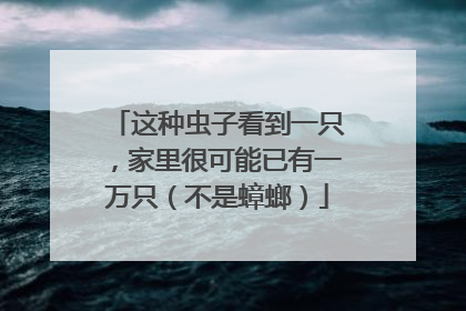 这种虫子看到一只，家里很可能已有一万只（不是蟑螂）