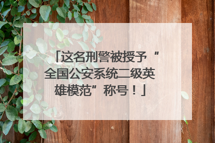 这名刑警被授予“全国公安系统二级英雄模范”称号！