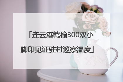 连云港赣榆300双小脚印见证驻村巡察温度