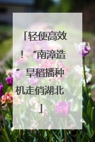 轻便高效！“南漳造”旱稻播种机走俏湖北