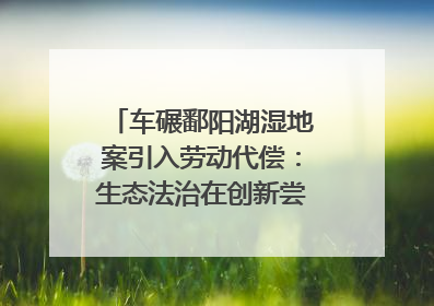 车碾鄱阳湖湿地案引入劳动代偿：生态法治在创新尝试｜有一说一