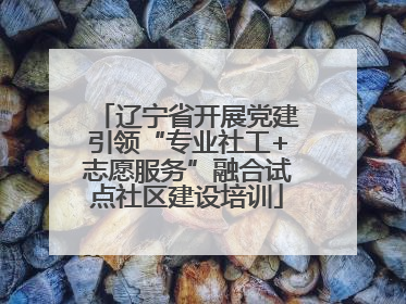 辽宁省开展党建引领“专业社工+志愿服务”融合试点社区建设培训