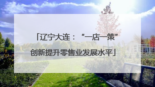 辽宁大连：“一店一策”创新提升零售业发展水平