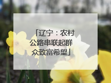 辽宁：农村公路串联起群众致富希望