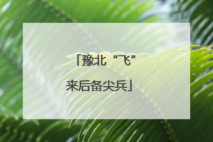 豫北“飞”来后备尖兵